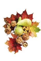 Autumn foliage, maple leaves, pears and walnuts