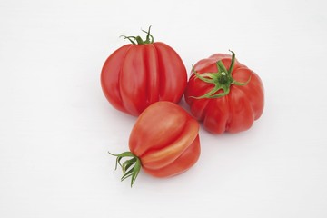 Tomato variety "Zatopec Pleated", pink beef tomato