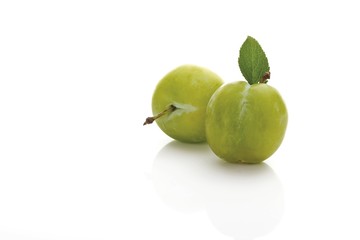 Greengages (Prunus italica) with small leaves