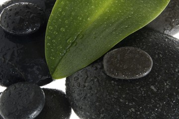 Fototapeta na wymiar Hot stones, basalt massage stones