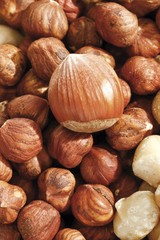 Hazelnuts, full format