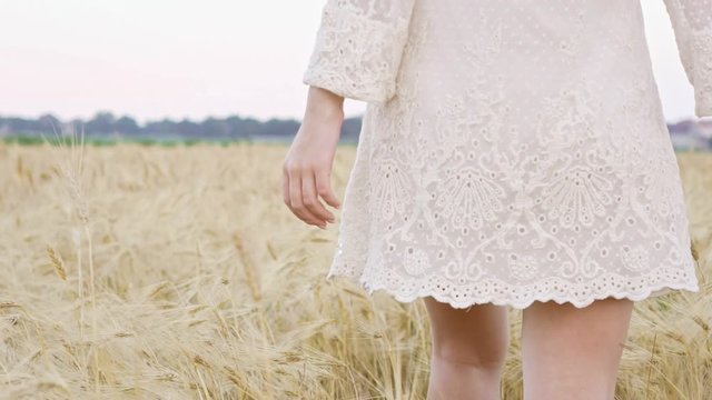 Cropped back view of young pretty woman in dress walking in the field