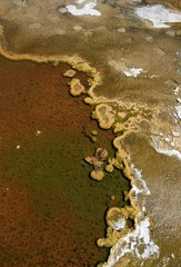 Detailed view of the discoloration caused by bacteria and algae on a geyser, Geyser Hill, Old Faithful Area, Yellowstone National Park, Wyoming, USA, North America