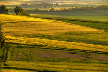 Rolling hills on sunset. Rural landscape. Green fields and farmlands, fresh vibrant colors
