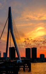 Rotterdam city cityscape with Erasmus bridge at sunset