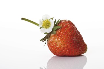 Strawberry with a blossom