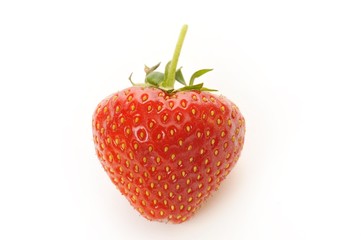 Strawberry (Fragaria)