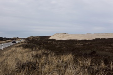Shifting dunes near List, Sylt Island, North Frisian Islands, Schleswig-Holstein, Germany, Europe