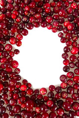 cranberries isolated on white