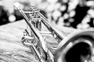 Trumpet in black and white