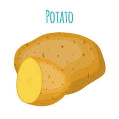 Potato set, vegetable. Organic food. Cartoon flat style. Vector illustration