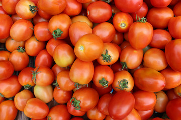 tomatoes in grocery market. (closeup)