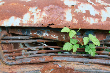 old rusty car at garden