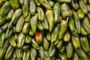 Pimientos del Padron, green peppers