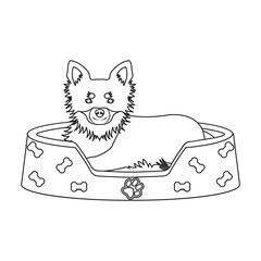 Lounger for a pet, a sleeping place. Dog,care of a pet single icon in outline style vector symbol stock illustration web.