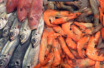 Fresh fish on market 
