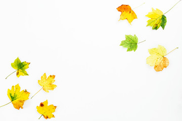 Autumn composition of autumn colorful fall leaves on white background. Flat lay, top view.
