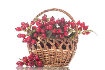 Fototapeta na wymiar wicker basket full with ripe red dog rose