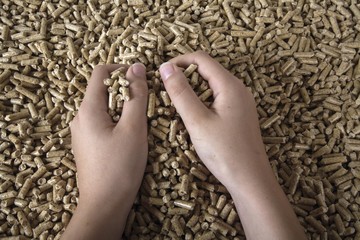 Person checking the quality of wood pellets