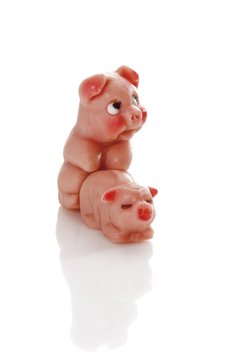 Two marzipan pigs, humorous symbolic image pairing