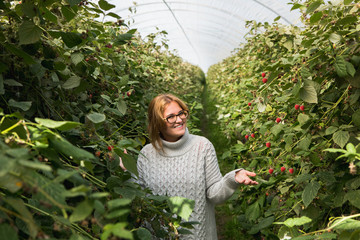 Woman farmer in greenhouse on an organic farm