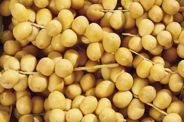 Fresh dates