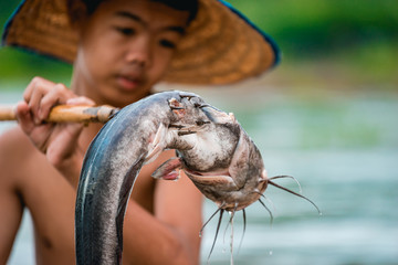 Asian boy uses the Harpoon stabbing catfish lake behind the House in the evening to make dinner.