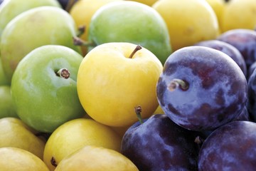 Greengages (Prunus italica), yellow plums and plums