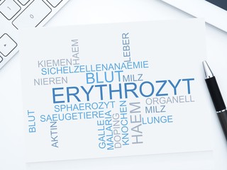 Erythrozyt