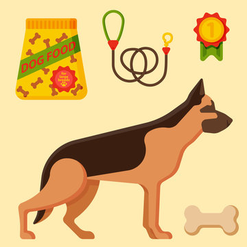 Vector illustration funny thoroughbred german shepherd dog attentive happy pet pedigree canine accessory.
