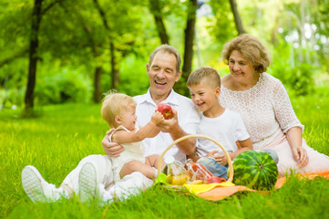 Naklejka na ściany i meble Happy family picnic. Grandparents having a picnic in nature with grandchildren