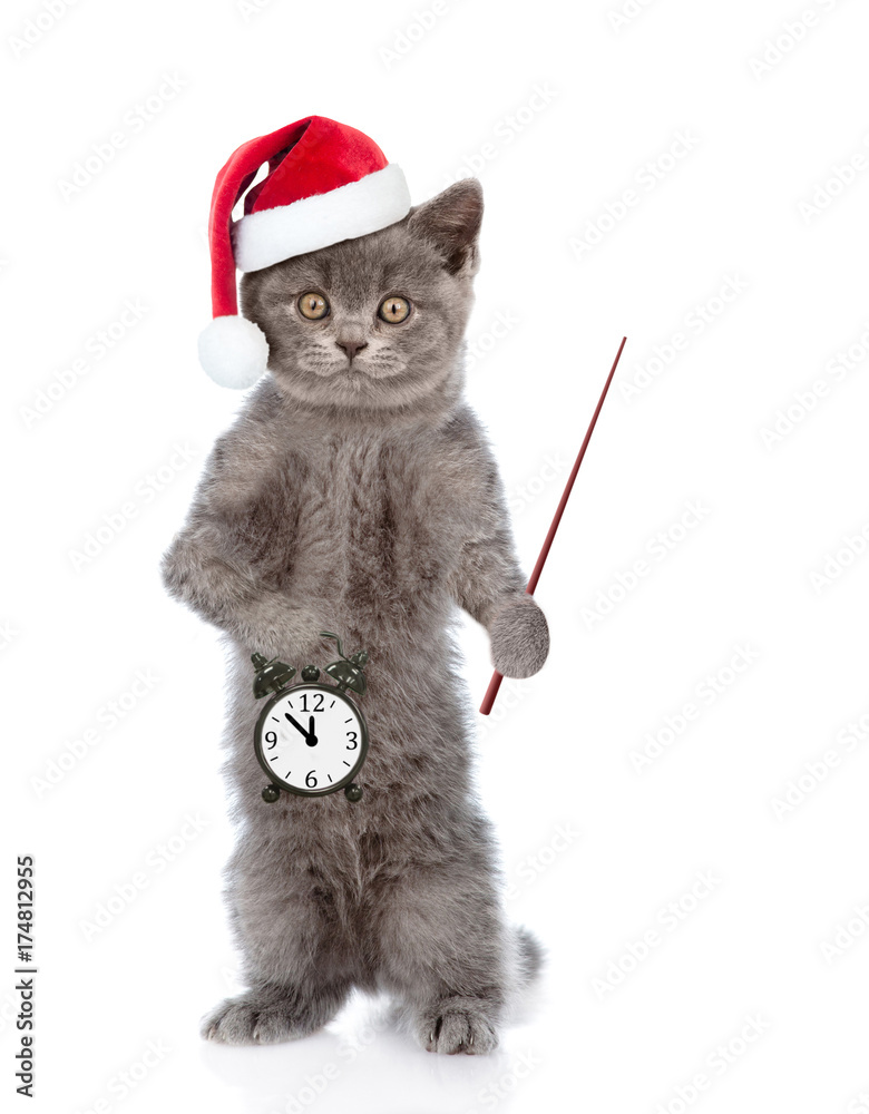 Poster Kitten in red christmas hat with pointing stick showing alarm clock. isolated on white background