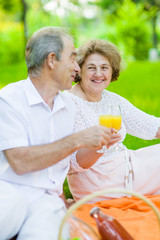 Senior couple drinking orange juice at a picnic