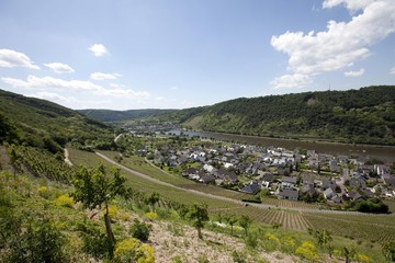 Fototapeta na wymiar View on the the Moselle town of Alken, Rhein-Hunsrueck-Kreis district, Rhineland-Palatinate, Germany, Europe