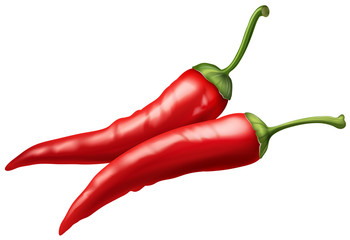 Red chilies on white background
