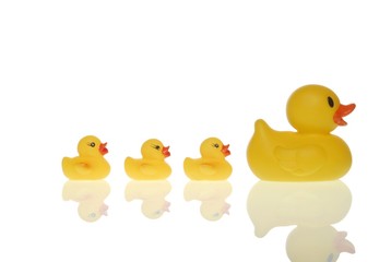 Rubber duck family