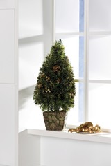 Christmas tree decoration on a windowsill