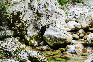 Naklejka na ściany i meble Crystalline waters of Cornappo stream
