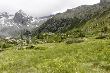 Fototapeta na wymiar alpine landscape