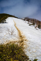 Fototapeta na wymiar Tsubakuro Dake mountain, famous trekking mountain in North Japan Alps Nagano Japan