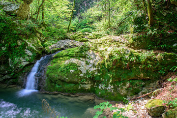 Fototapeta na wymiar Waterfalls immersed in nature.