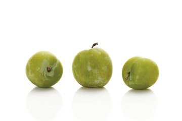 Greengages (Prunus italica)