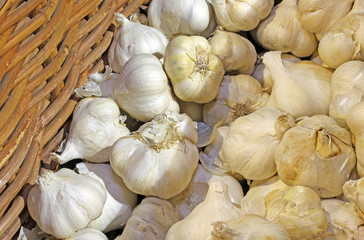 basket of fresh garlic from the grocery store