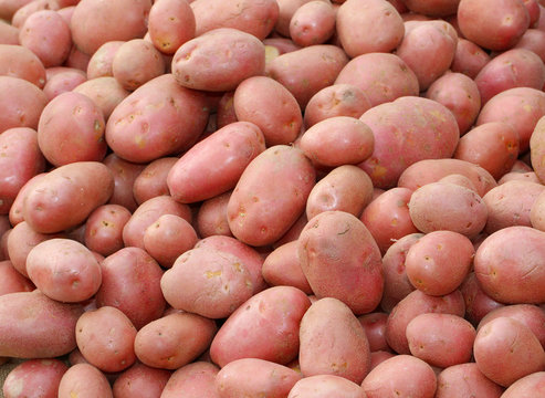 background of many red potatoes a very valuable quality