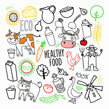 Eco Products Organic Food Hand Drawn Doodle. Freehand Healthy Eating Elements. Vector illustration