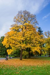 Autumn in the central spa park - Marianske Lazne (Marienbad) - great famous Bohemian spa town in...