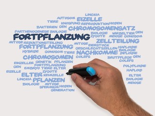Fortpflanzung