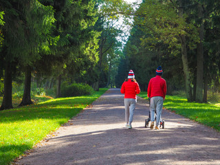 People walk along the lanes in autumn Park. Autumn in the Park. Alexanrovsky Park in St....