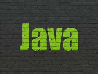 Fototapeta premium Programming concept: Java on wall background