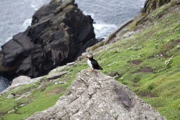 Ireland-juin-juillet-2017